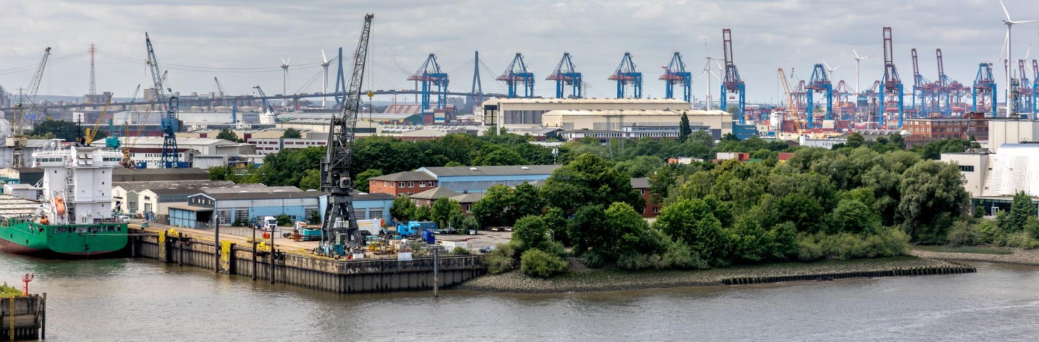 Green Initiatives Drive Port Past 50 MMT Cargo Milestone in Jubilee Year